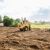 Cypress Land Clearing Services by Master Fix It, LLC